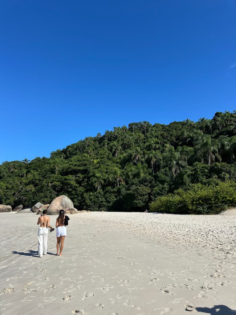 agence création site web : Animation, maintenance et sauvegarde site WordPress — formule Sérénité