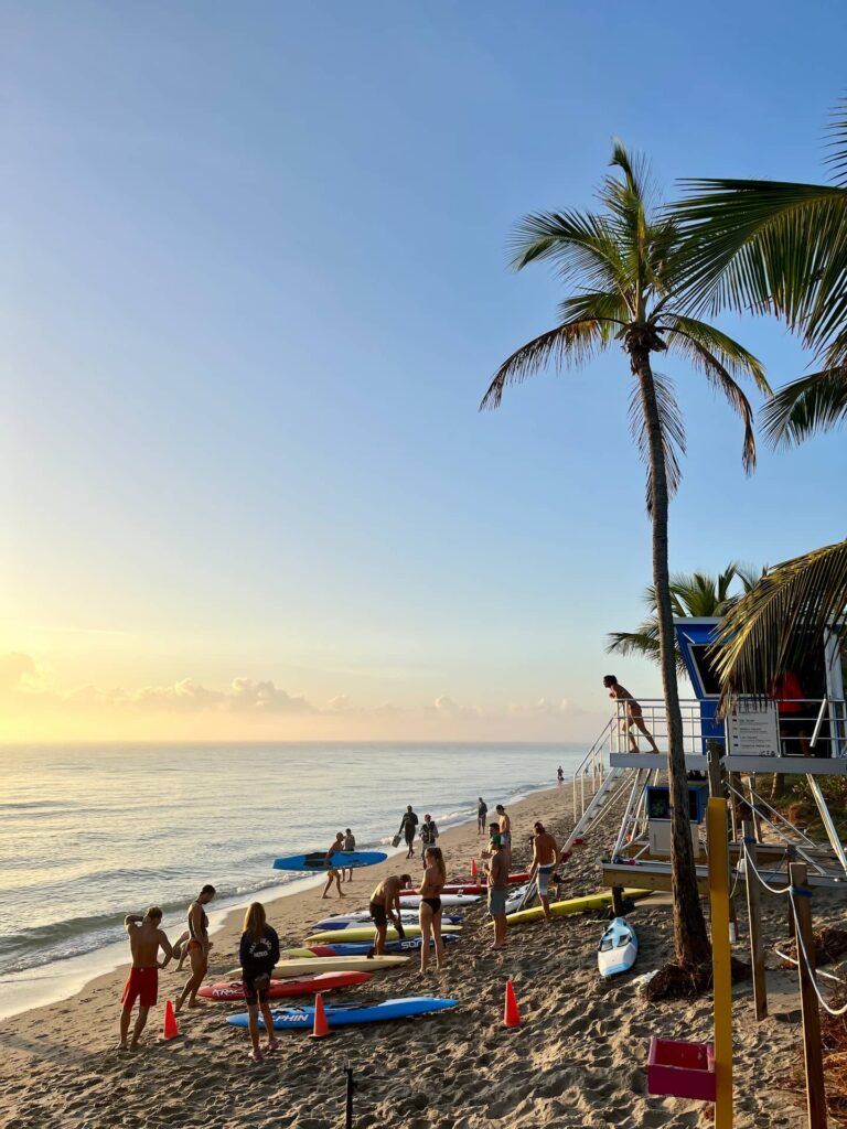 agence création site web : Présentation de tutoriels Nalini Agency, mise en avant des services digitaux